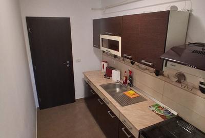 De inchiriat apartament, 1 camera, decomandat, 50 mp,Bucium Residence, Cod159827 - 5