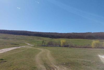 Teren de 2600 mp, în Reuseni - 2