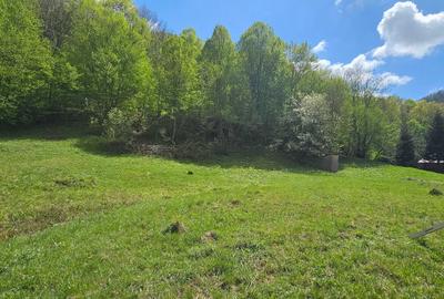 Teren de 2450 mp, în Bulz - 5