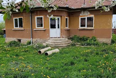 Casă cu 3 camere cu Teren 500 Mp în Dângău Mare - 2