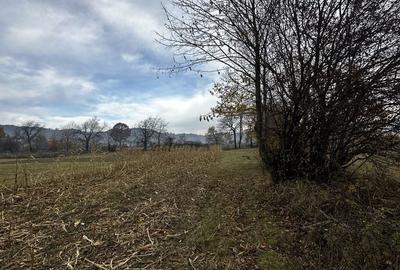 Teren de 2133 mp, în Exterior Vest - 3