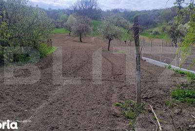 Casă cu 3 camere cu Teren 1200 Mp în Unguraș - 8