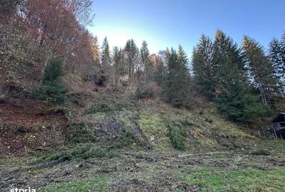 Teren de 2882 mp, în Dâmbovicioara - 18