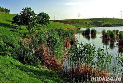 Balta Hagiesti 2 - proprietate, langa Bucuresti - 1