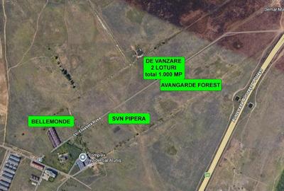 Teren Construcții intravilan de 1000 mp, în Central - 2