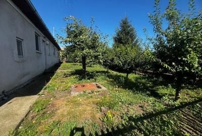Spatiu pentru dispensar medical-veterinar si locuinta de serviciu cu teren mare - 13