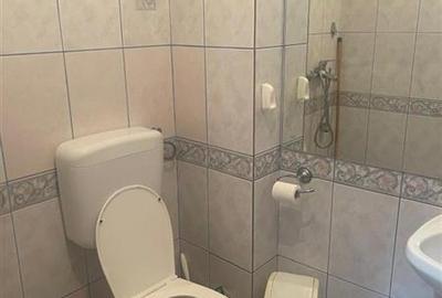 Parcul Circului, vila P+M, contructie 2001,6 camere, pretabil birou - 10