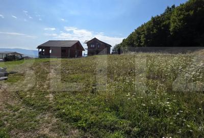 Teren de 875 mp, în Central