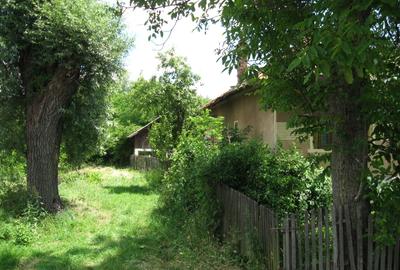(101) Teren cu casa, pentru afaceri / Direct proprietar - 9