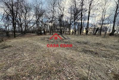 Casă cu Teren 3074 Mp în Cornu - 1