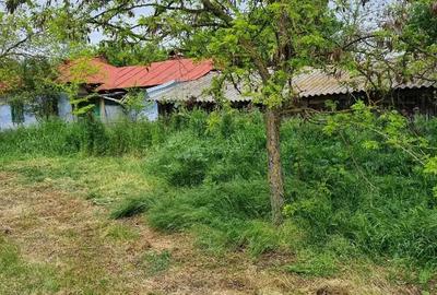 Casă cu 5 camere cu Teren 5500 Mp în Văleni - 5