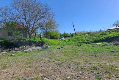 Teren de 1000 mp, în Sultana - 1