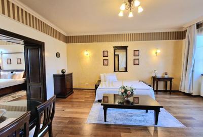 Apartament cu 2 camere semidecomandat, mobilat în P-ța Maria - 6