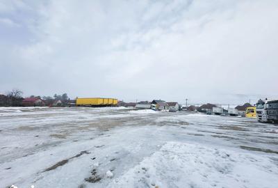 Spațiu comercial, de 500 mp, în Adămuș - 8