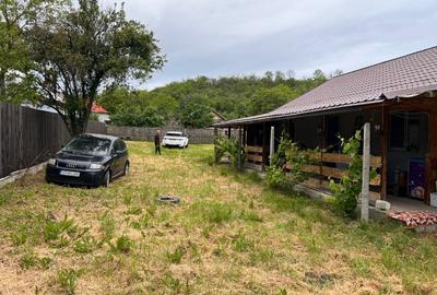 Casă individuală cu 3 camere cu Teren 3300 Mp în Mihăilești-Popești - 3