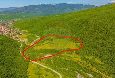 Teren 128.000 mp-Sacele-zona Garcini/ Intravilan/ COMISION 0% - 3