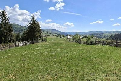 Teren de 6924 mp, în Arieșeni - 2