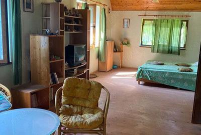 Proprietar, vand casa parter+etaj, 150 mp, curte 3438 mp, Avram Iancu - 5