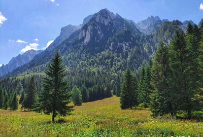 Vanzare teren intravilan in Busteni - 1