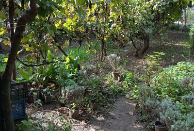 Casa ?i teren zona ultracentrala - 2