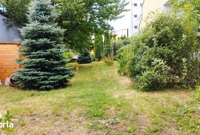 Casă cu 6 camere cu Teren 1200 Mp în Gruia - 8