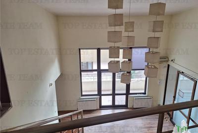 Casă cu 14 camere cu Teren 200 Mp în Dorobanți - 11