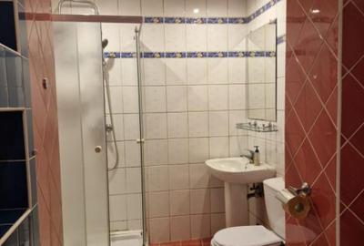 Apartament cu 4 camere decomandat în Traian - 10