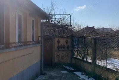 Casă cu 3 camere cu Teren 713 Mp în Lugoj - 17