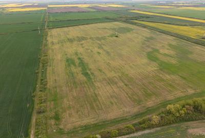 Teren agricol extravilan de 44700 mp, în Exterior Vest - 2
