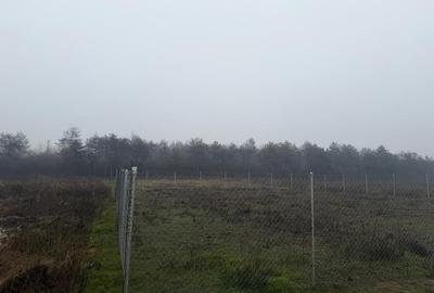 Teren Construcții intravilan de 500 mp, în Bordei - 2