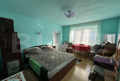 Casa cu 3 camere, 100mp, in Tampa - 10