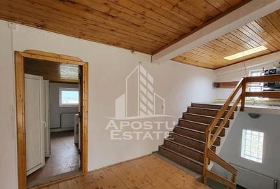 Casa ideala pentru birouri/alte activitati Mehala - 16