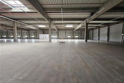 Spatii Industriale - 9500 mp - Logistica - Productie - Depozitare - Distributie - 1