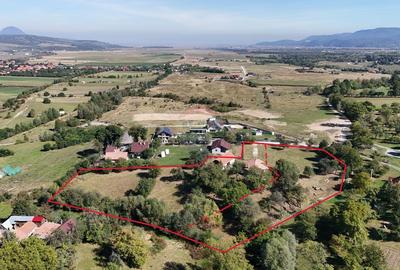 Teren Construcții intravilan de 4391 mp, în Sohodol - 3