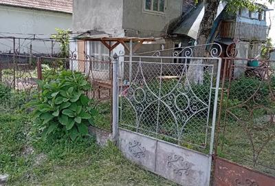 Casă cu Teren 5741 Mp în Lunca Mureșului - 1