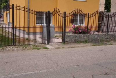 Casă cu 4 camere cu Teren 1619 Mp în Certeju de Sus - 8