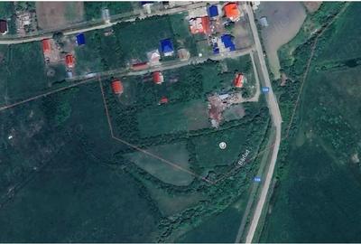 Teren extravilan Bacesti, ID: R2822108 - 1