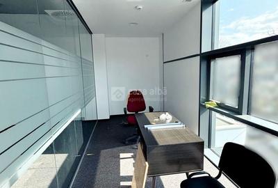 Birou, de 201 mp, în Podu Roș - 13