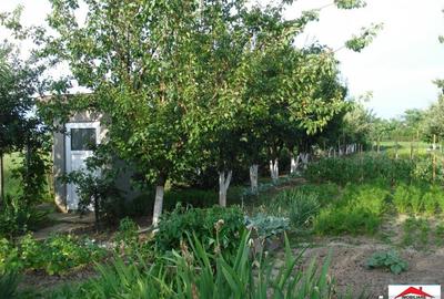 Casă cu 6 camere cu Teren 2110 Mp în Lazuri - 3