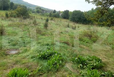Casa de vanzare 200 mp, cu Teren 2200 mp, la 20 km de Bistrita - 10