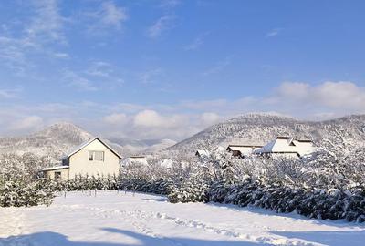 Casă cu 4 camere cu Canalizare în Exterior Vest - 11