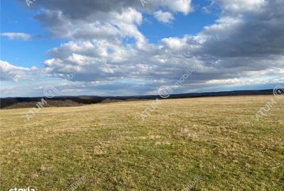 Spațiu comercial, în Cristian - 2