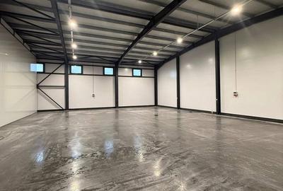 Spațiu comercial, de 300 mp, în Livada - 1