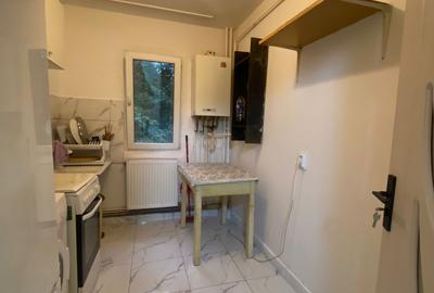 Apartament 3 camere Podu Ros - 5