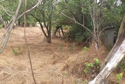 Casă cu 4 camere cu Teren 5000 Mp în Drăgănești - 6