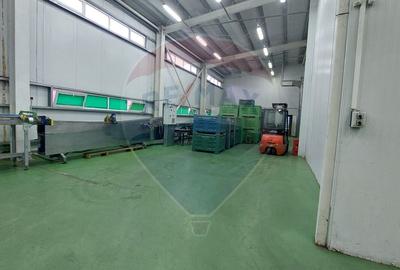 Spațiu industrial, de 880 mp, în Muntenii de Jos - 39