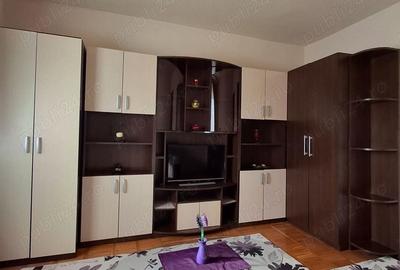 Garsonieră decomandată în Tudor - 7