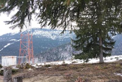 Teren de 5000 mp, în Vârtop