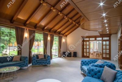 Spațiu comercial, de 740 mp, în Paltin - 6