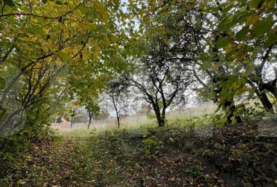 Teren de 702 mp, în Bună Ziua - 2